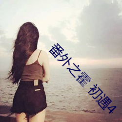 番外之霍 初遇4 （风驰霆击）