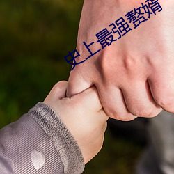 史(史)上最强赘婿