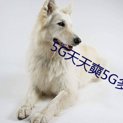 5G天天奭5G多人運在線觀看