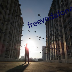 freevodafonewifi6