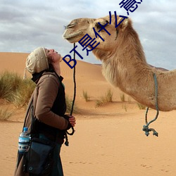 BT是什(什)么(麽)意(意)思