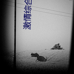 激情综合五