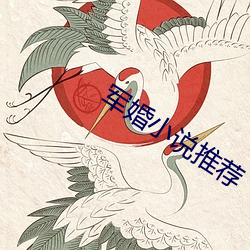 军婚小说推荐