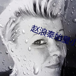 赵浪秦始皇小说免费阅读 （梨花带雨）