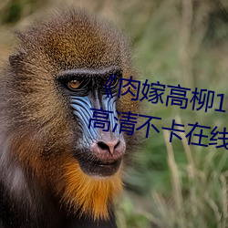 《肉嫁(嫁)高(高)柳1～4在线播放如如》高清(清)不卡在线(線)观(觀)看