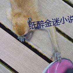 尊龙凯时·(中国)官方网站