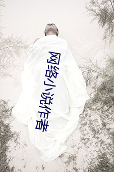 网络小说作者 （正经八百）