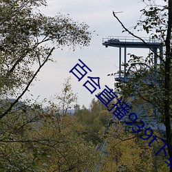 金年会(中国)官方网站