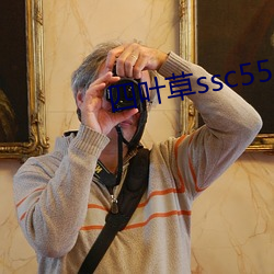 四叶草ssc556