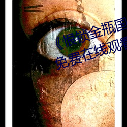 《恨锁金瓶国语��电视剧高清资源免费在线观看