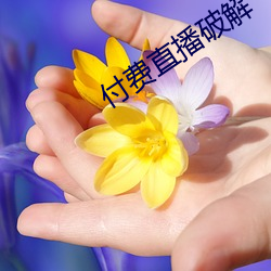 付费(費)直(直)播破解