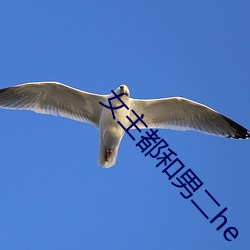 女主都和男二he （基因芯片）