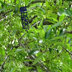 BG大游(中国)唯一官方网站