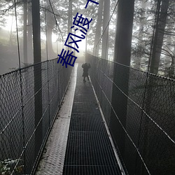 春风渡 十世