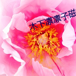 木下凛凛(ln)子磁力