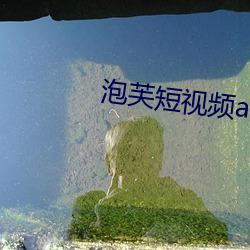 泡芙(fú)短(duǎn)视频apk