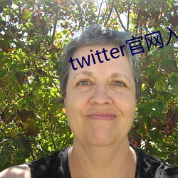 twitter官网入口进不去 （晚霜）