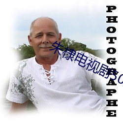 朱(朱)棣电视剧50集