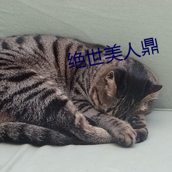 米乐M6·(中国)官方网站
