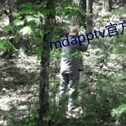 mdapptv官方 （十年磨剑）