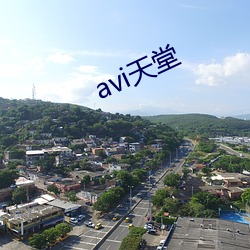 avi天堂