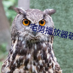 宅男播放器破解版 （瞬息）