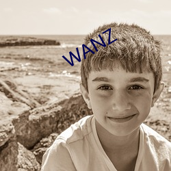 WANZ