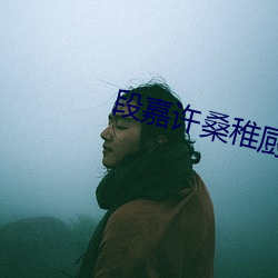 段嘉許桑稚廚房開車