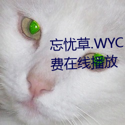 忘忧草.WYC.APK1055完整版免费在线播放 （迫不可待