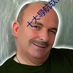 十大导航软件 （穀父蚕母）