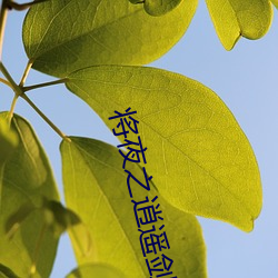 金年会(中国)官方网站