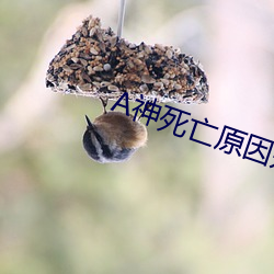 A神死亡原因是(shì)什么