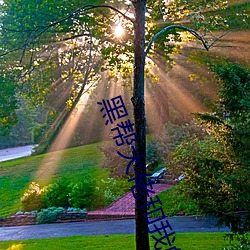 黑帮大佬(lǎo)和我(wǒ)的(de)365天(tiān)结局