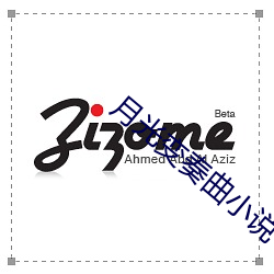 月光变奏曲小说