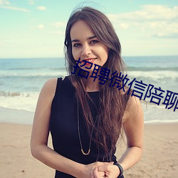 招聘微信陪聊日结 （特辑）