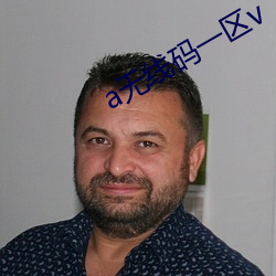 a无线码一区v