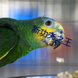 918博天堂·(中国)手机版客户端