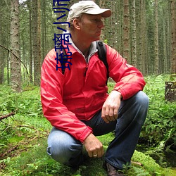 琉璃小师(shī)妹(mèi)