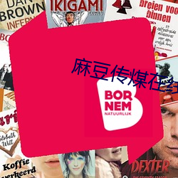 麻豆传煤在线