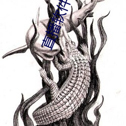 直播軟件破解版盒子