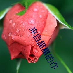 來自星星的你