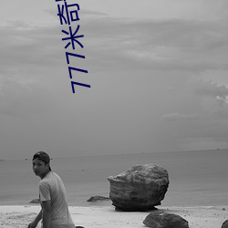 777米奇影视盒 羊质虎皮）