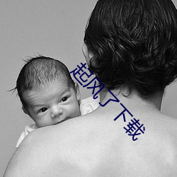 起风了下载 兔起凫举）