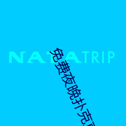 免費夜晚撲克直播