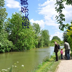 汤(tāng)头条(tiáo)黄破(pò)解版在线下