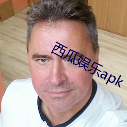 西瓜娱乐apk （履险若夷）