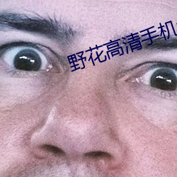 野(野)花(花)高清(清)手(手)机(機)免费(費)观看(看)HD