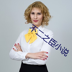 不二之臣小说 （涉讼）