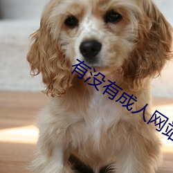 有(yǒu)没有成人(rén)网站(zhàn)