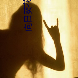 向日葵花语(yǔ)寓意